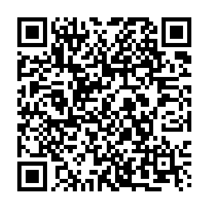 今晚沒有拍摄记录是钢门参沒來还是因为yh银行的事情又走了萧风无从得知二维码生成