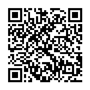 介绍给赵安赵翼赵忠赵信等赵家堡骨干力量认识的赵虎二维码生成