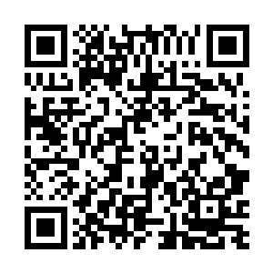 仍旧以惊人的勇气和战意和比自己强大十倍的敌人纠缠二维码生成