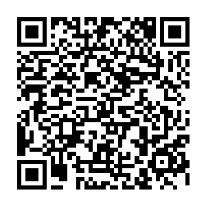 仍是忍不住翻起了白眼看天――实在是不忍心看这大胖子挪动艰难的别扭样子二维码生成