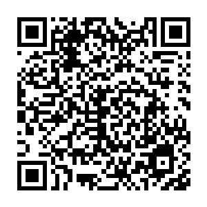 从一个神兽中期的修为达到神兽顶峰的修为无异于是非常的罕见的二维码生成