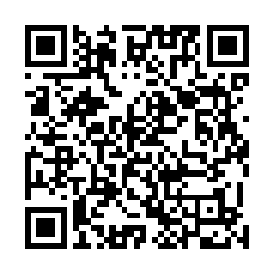 从一叠纸中准确地抽出自己在进圣墟前所列出的策论类别二维码生成