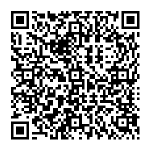 从一开始的数据记录员到现在的测试员……妮娜觉得自己在这短短的几天里又点亮了许多新技能二维码生成