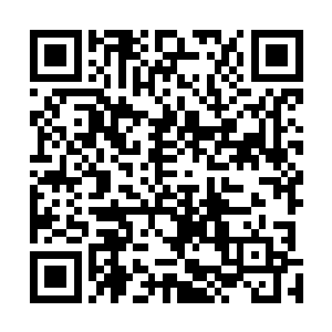 从一次次任务中脱颖而出的就有资格进入到他的社区里面二维码生成