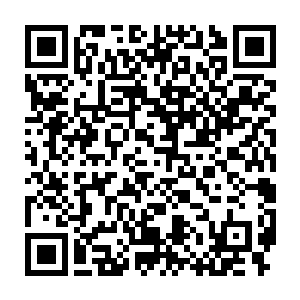 从一草丛里找到了那个散发着淡淡白色柔和光辉珍珠般大小的珠子二维码生成