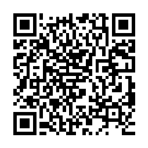 从丁长生的成长历程一直讲到现在如火如茶的梨园村道路整修二维码生成