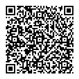 从三代治世之后就再也没有出现过了――她读史书甚至有时候怀疑连所谓的三代治世都是历代儒门圣贤编出来的二维码生成