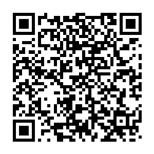 从下午到第二天早上都没有看见他们从议事大厅侧翼的房间里出来二维码生成