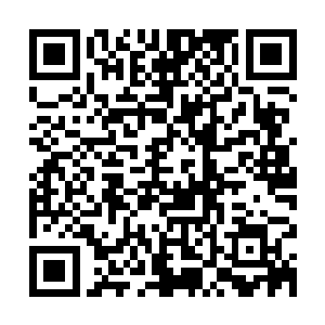 从不住轻颤的大袖子即可猜到笼在袖中的双手是怎样剧烈的颤抖二维码生成