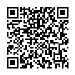 从不同的店小二口中得到了相同的答案诺顿家族真的停产了二维码生成