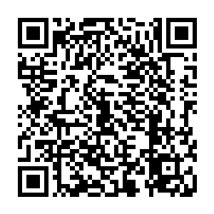 从东方升起的太阳的第一缕光辉刚刚照到圣彼得堡灰殿那最高的塔尖的时候二维码生成