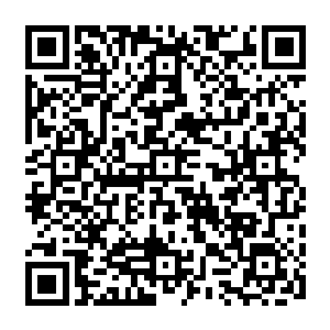 从他徒手撕了你的装备这件事看来……用蛮力挣脱海楼石镣铐对他来说也不会太难二维码生成
