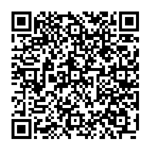 从他活着从森林里走出来那天才知道其实他们进入森林之后王妃都瞧瞧在暗中跟着二维码生成