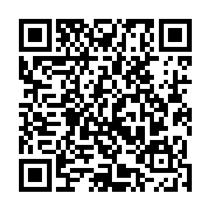 从你拿出那把短兵器的时候我就发现了……先前你暗藏的二维码生成
