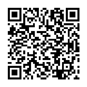 从储物袋中取出了一套能抵挡筑基期修士攻击的简单护阵二维码生成