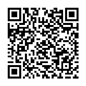 从几个人进去到现在可是仅仅连五分钟的时间都不到二维码生成