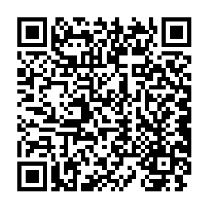 从刚开始交手的疯狂激烈到随后看似从容但双方都动手迅捷的追与走二维码生成