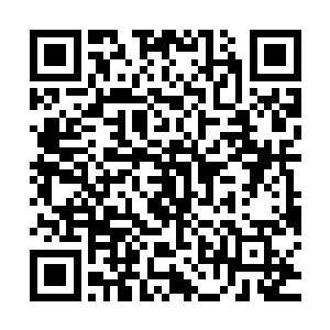从刚才的气势来看你的实力应该已经提升到了很强大的层次了吧二维码生成