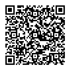 从刚才蛟神说要去破碎之域一个地方的时候很多人就在猜测是不是什么宝藏之地了二维码生成