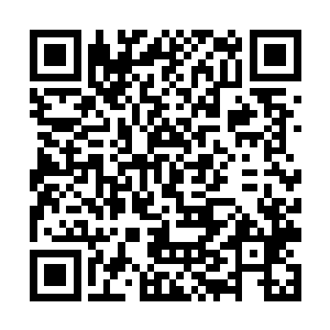 从刚才问话的时间里他已经读取了两个人的全部记忆二维码生成