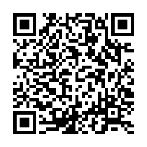 从努比斯散发出的气势中他们都察觉到努比斯的真实身份了二维码生成