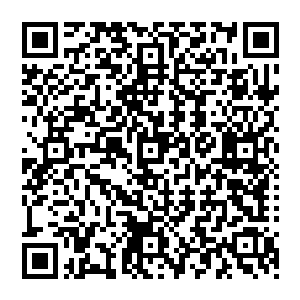 从变异龙龟王体内爆发出来的可怕力量便会城墙上众人联手释放出来的强大力量给碰撞在了一起二维码生成