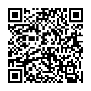 从口袋里掏出一叠支票本潇洒地撕了一张对着中年男人道二维码生成