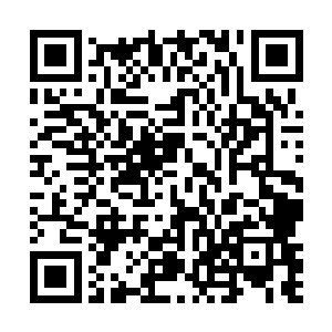 从圣弃界过來的几十名圣皇大圆满扔下了三十几具尸体二维码生成