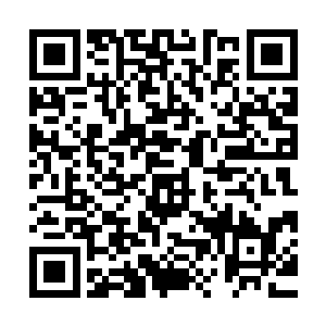 从地下车库里开出了几辆豪华轿车停在了宾馆正门前的贵宾车位二维码生成
