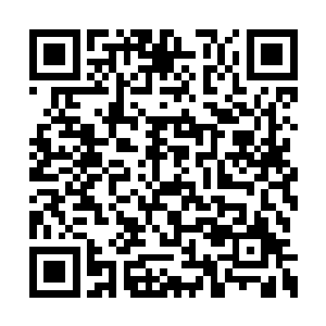 从外表看不出这台飞梭车装备有什么攻击性法宝二维码生成