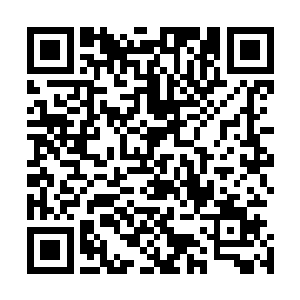 从大世界来到八荒世界的人他们此刻已经从震惊变成畏惧了二维码生成