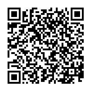 从小便被整个圣殿的长辈给捧在手心里的晴蝶儿如何能够受得了这种打击二维码生成
