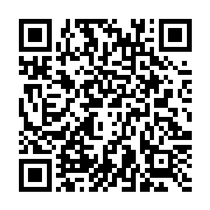 从小到大一直很受男生欢迎的苏以没从边学道眼里看到爱慕二维码生成