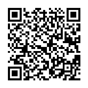 从小在锦衣玉食之中长大的他如何承受得了这样的打击二维码生成