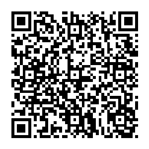 从小它脑子里灌注的最多的就是青璃妖的种种难缠以及青璃妖王颜洛儿的喜怒无常二维码生成