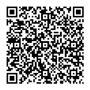从小就被当做城市的螺丝钉培养的炮灰级的小人物天生的知识结构和对世界的认知上就有着巨大的局限二维码生成