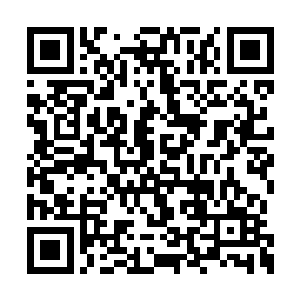 从小时候我父亲逼我画画开始我就讨厌画任何画二维码生成