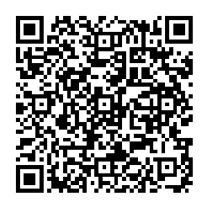 从小白虎身上传來的那股让他们的灵魂都感到战栗的威压以及背生双翼的身体特征二维码生成