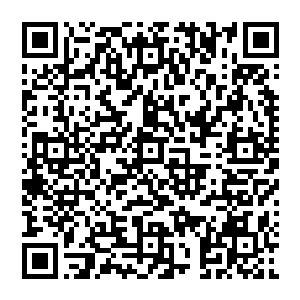 从小的经历和男中的环境都让张铁深刻的体悟到了这么一个道理――当有人欺负或侮辱你的时候二维码生成