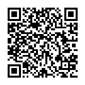 从底部不断的升腾出阴冷的寒气让叶然忍不住打了过哆嗦二维码生成