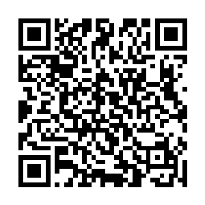 从开始到现在苏凡能够坚持到现在已经极其的不容易二维码生成