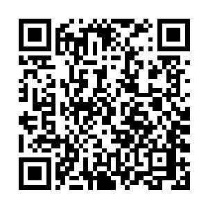 从怀中取出符宝袋拿出一根皮鞭和一根铁链递给江帆二维码生成