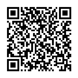 从我进来到现在一共在你们西门世家之中丢了好多颗定时炸弹二维码生成