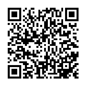 从政法委办公室同志的眼神中就看到了对方的戒备神态二维码生成