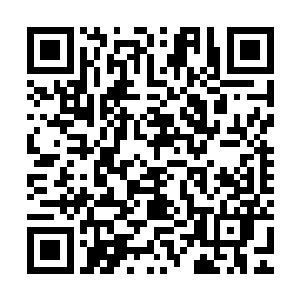 从文杰将我从魔雷之下救醒的那一刻我的心便已经完全的属于他二维码生成