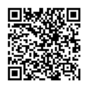 从木灵处得到的那一箱子用过一点儿还可以接着用的白骨伞二维码生成