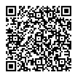 从未正式上过商业平台的她也跟其他俄罗斯模特一样领到一张五千美元的走秀酬劳支票二维码生成