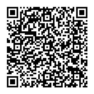 从未看到2天内能组织起一场全国顶尖的专家会诊――维杰里为这场会诊起码付了100万的出场费和路费二维码生成