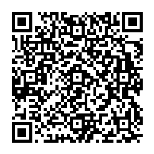 从来不喜欢宣扬自己安全局身份的成员们肯定泯然众人的混在其中仰头看电梯上的楼层标示二维码生成