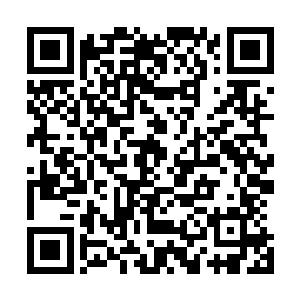 从来就不会把那种君要臣死臣不得不死的愚忠当作人生信条二维码生成